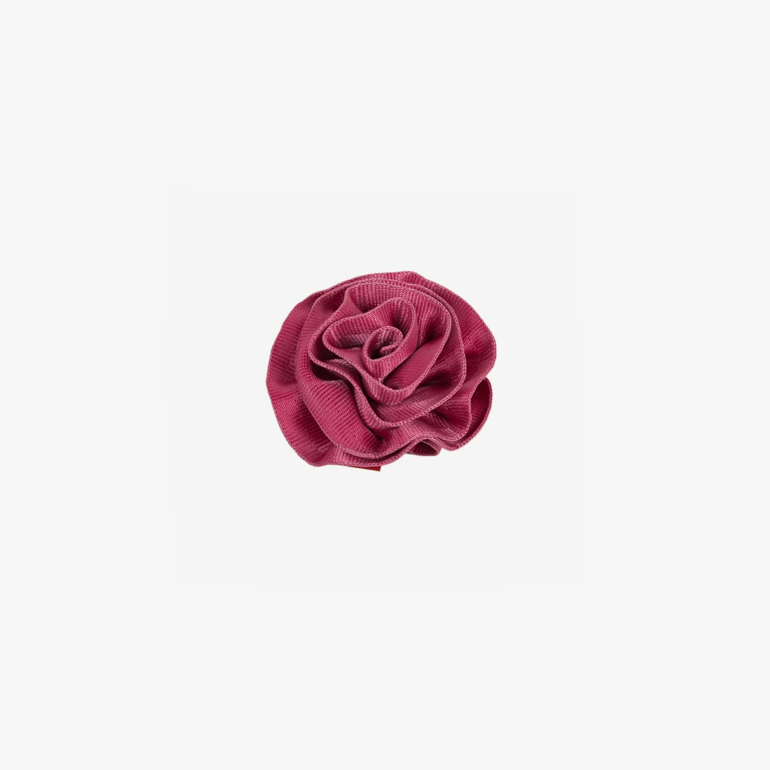Rosette / Fuchsia